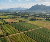 KapitalAgri & land optimisation